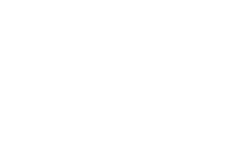 Perfectly Polley Logo White